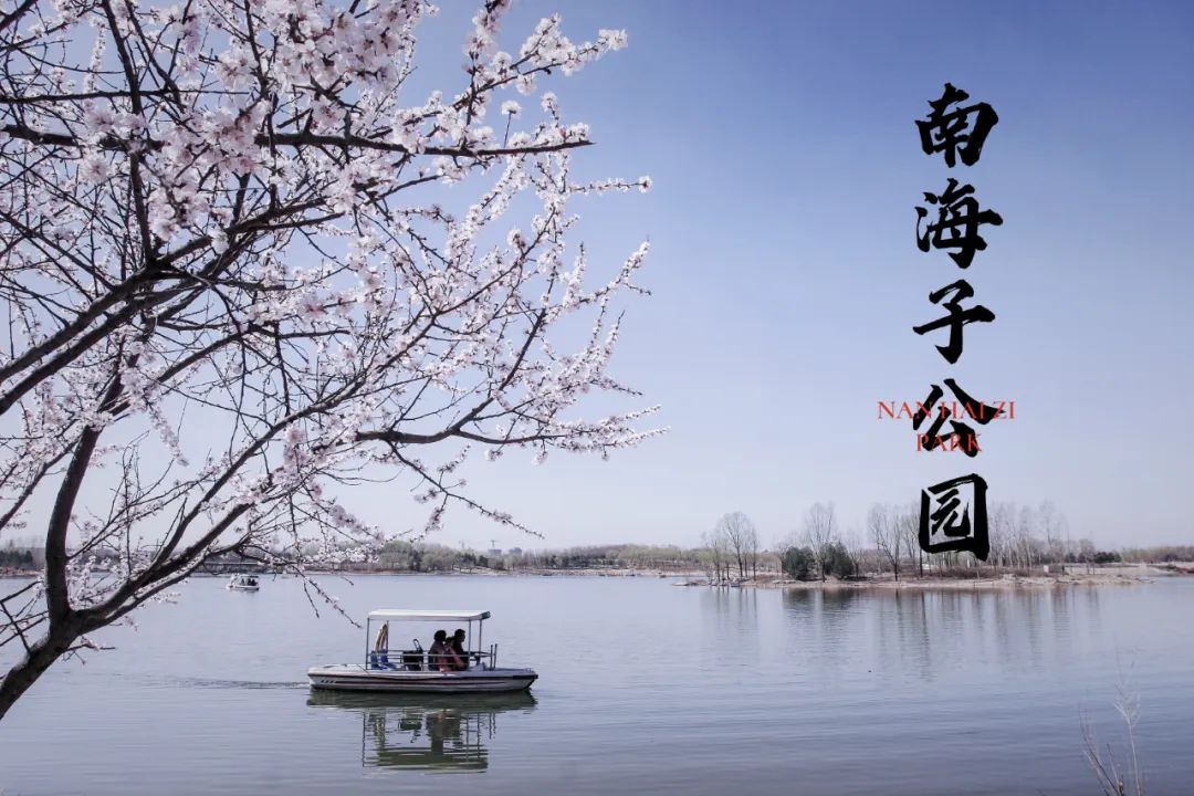 南海子游园 | 五一假期，，，，，，请收好这份攻略