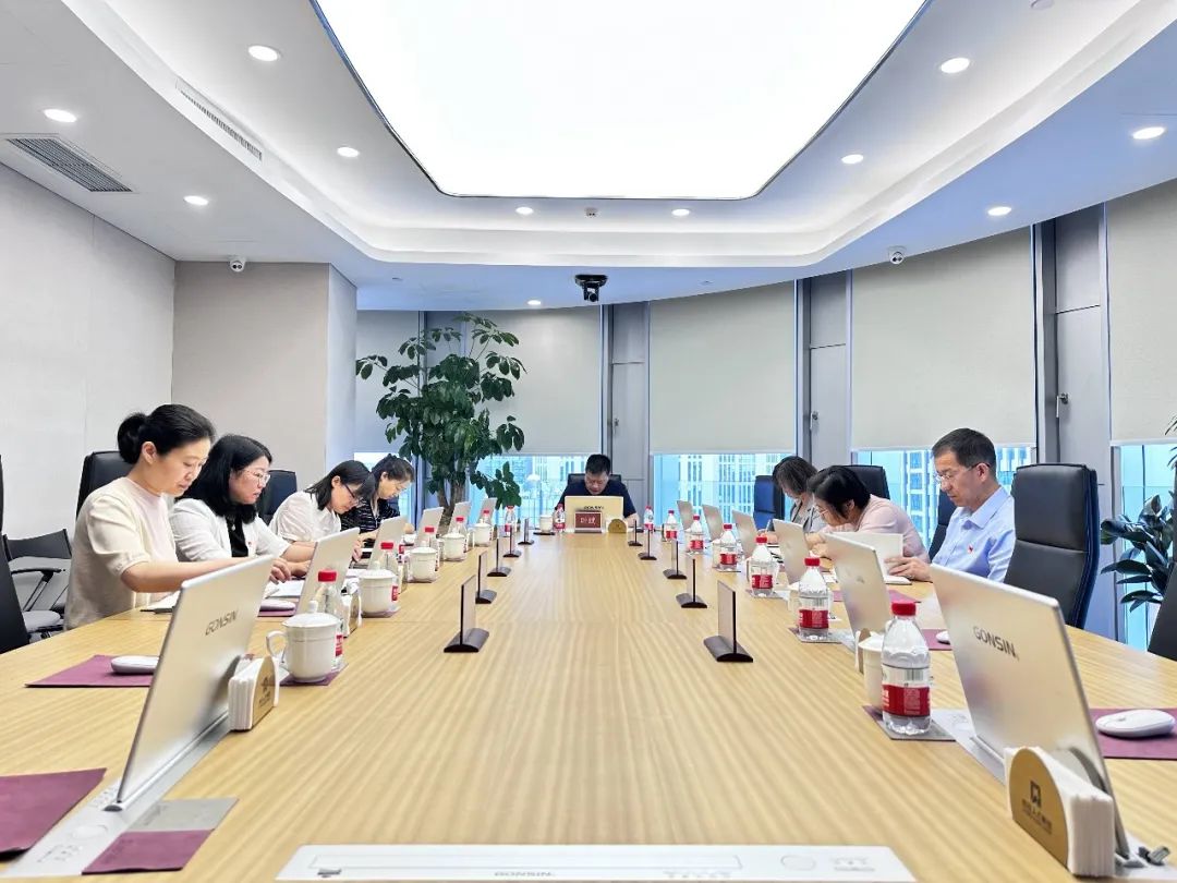 北京亦庄DG视讯集团党委专题学习党的二十届三中全会精神